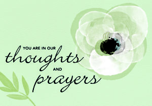 White Rose Thoughts And Prayers Greeting Cards